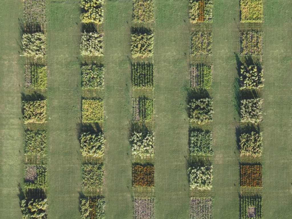 Regenerative biologische Landwirtschaft