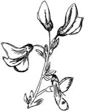 //de.davines.com/cdn/shop/t/11/assets/davines-line-finest-pigment-deco-1.jpg?v=31471944834081645081699535244