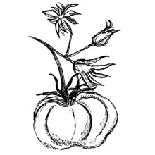 //de.davines.com/cdn/shop/t/11/assets/davines-line-finest-pigment-deco-2.jpg?v=79889010406983862501699535245