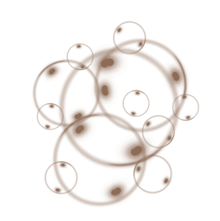 //de.davines.com/cdn/shop/t/11/assets/davines-line-liquid-spell-deco-3.png?v=46280387748838644991699535252