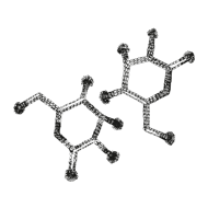 //de.davines.com/cdn/shop/t/11/assets/davines-line-naturaltech-deco-3.png?v=48525519344944069281699535261