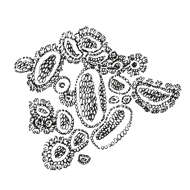 //de.davines.com/cdn/shop/t/11/assets/davines-line-naturaltech-deco-4.png?v=171189248533084119171699535262