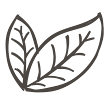 //de.davines.com/cdn/shop/t/11/assets/davines-line-single-shampoo-deco-1.png?v=183516140813493506251699535265