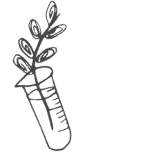 //de.davines.com/cdn/shop/t/11/assets/davines-line-single-shampoo-deco-3.png?v=134859518317833459071699535267