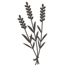 //de.davines.com/cdn/shop/t/11/assets/davines-line-single-shampoo-deco-4.png?v=10996012474181549121699535268