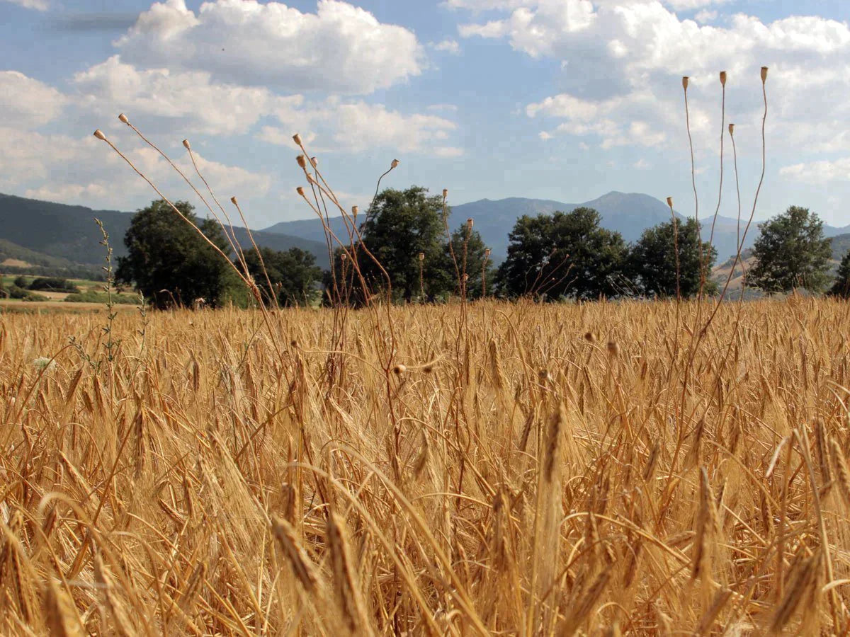 Ein Ausflug nach Italien mit Essential Haircare