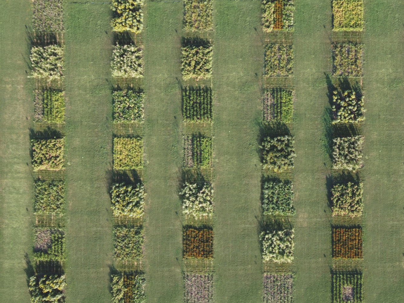 Regenerative biologische Landwirtschaft