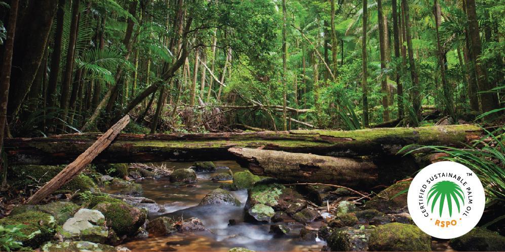 Palmöl, unsere Meinung